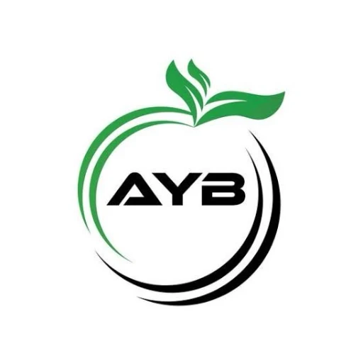 Logo AYB IPHONES